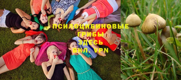 спайс Лихославль