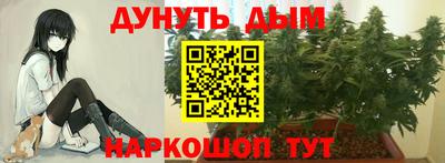 а пвп мука Дубна