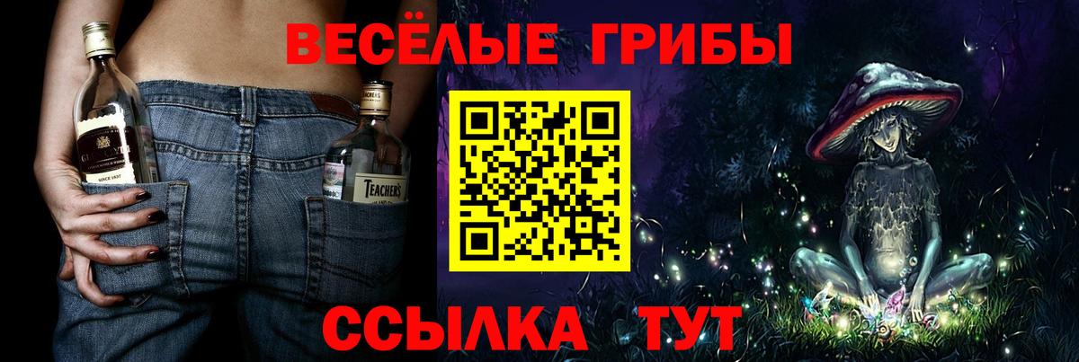 Псилоцибиновые грибы GOLDEN TEACHER  Псилоцибиновые грибы GOLDEN TEACHER  Вход с VPN  Новоалтайск 