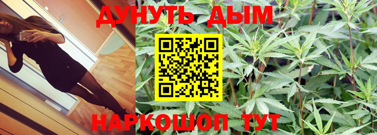 Конопля сатива  Марихуана тримм  Новоалтайск  Вход с VPN 